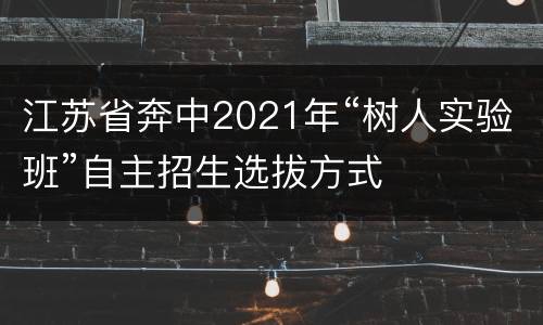 江苏省奔中2021年“树人实验班”自主招生选拔方式
