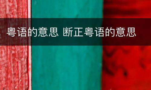 粤语的意思 断正粤语的意思