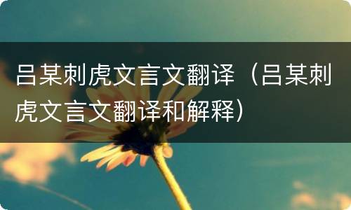 吕某刺虎文言文翻译（吕某刺虎文言文翻译和解释）