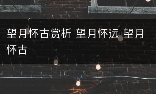 望月怀古赏析 望月怀远 望月怀古