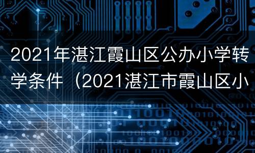 2021年湛江霞山区公办小学转学条件（2021湛江市霞山区小学转学）
