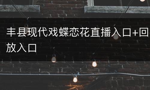 丰县现代戏蝶恋花直播入口+回放入口
