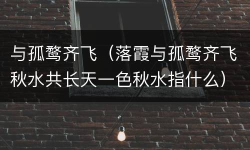 与孤鹜齐飞（落霞与孤鹜齐飞秋水共长天一色秋水指什么）