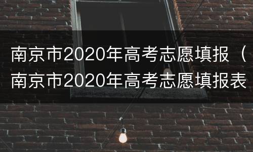 南京市2020年高考志愿填报（南京市2020年高考志愿填报表）