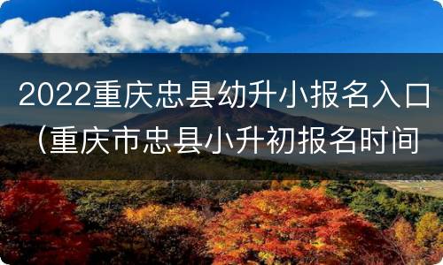 2022重庆忠县幼升小报名入口（重庆市忠县小升初报名时间）