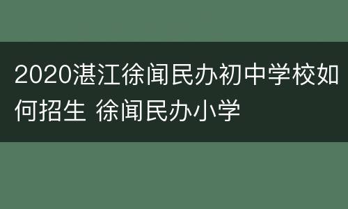 2020湛江徐闻民办初中学校如何招生 徐闻民办小学