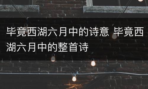 毕竟西湖六月中的诗意 毕竟西湖六月中的整首诗