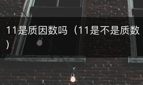 11是质因数吗（11是不是质数）