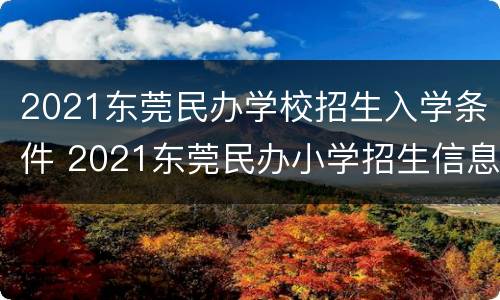 2021东莞民办学校招生入学条件 2021东莞民办小学招生信息
