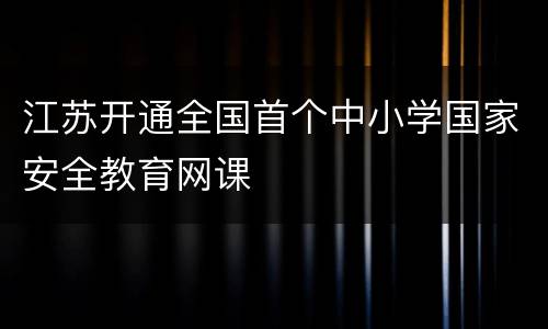 江苏开通全国首个中小学国家安全教育网课