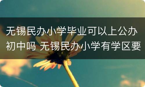 无锡民办小学毕业可以上公办初中吗 无锡民办小学有学区要求吗