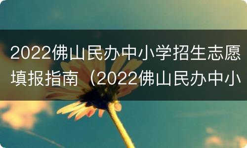 2022佛山民办中小学招生志愿填报指南（2022佛山民办中小学招生志愿填报指南视频）