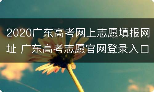 2020广东高考网上志愿填报网址 广东高考志愿官网登录入口2020