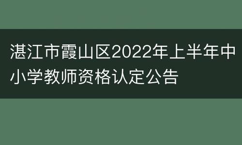 湛江市霞山区2022年上半年中小学教师资格认定公告