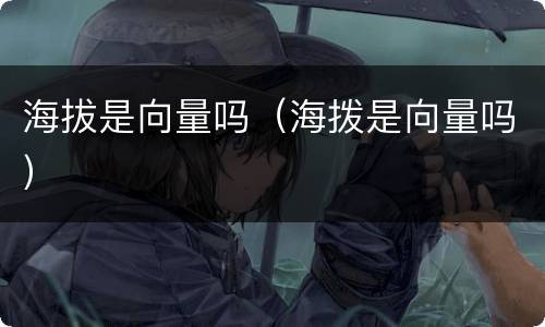 海拔是向量吗（海拨是向量吗）