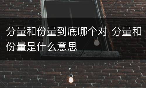 分量和份量到底哪个对 分量和份量是什么意思
