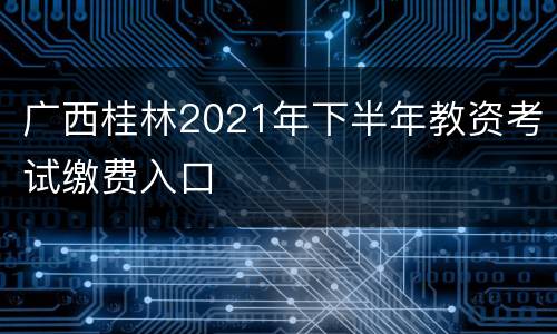 广西桂林2021年下半年教资考试缴费入口