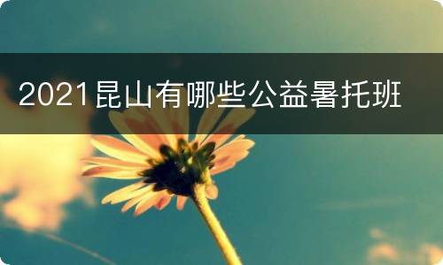 2021昆山有哪些公益暑托班