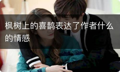 枫树上的喜鹊表达了作者什么的情感