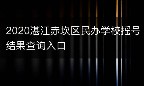 2020湛江赤坎区民办学校摇号结果查询入口