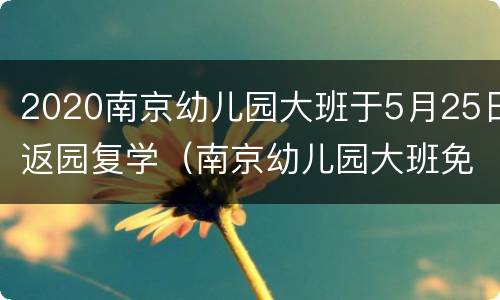 2020南京幼儿园大班于5月25日返园复学（南京幼儿园大班免学费政策）