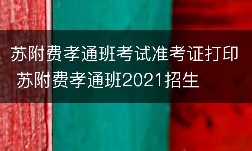 苏附费孝通班考试准考证打印 苏附费孝通班2021招生