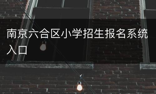 南京六合区小学招生报名系统入口