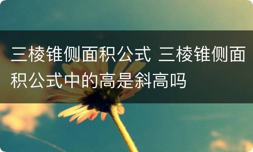 三棱锥侧面积公式 三棱锥侧面积公式中的高是斜高吗