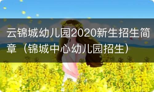 云锦城幼儿园2020新生招生简章（锦城中心幼儿园招生）