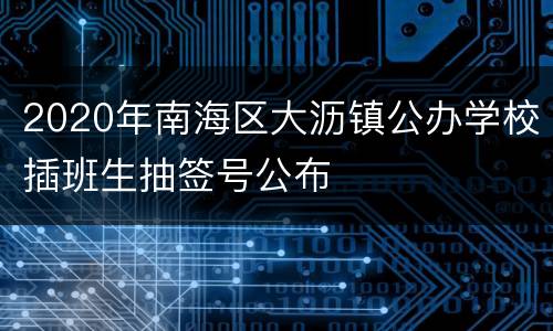 2020年南海区大沥镇公办学校插班生抽签号公布