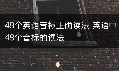 48个英语音标正确读法 英语中48个音标的读法