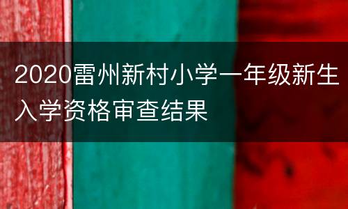 2020雷州新村小学一年级新生入学资格审查结果