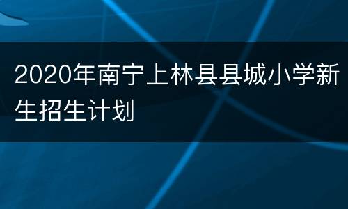 2020年南宁上林县县城小学新生招生计划
