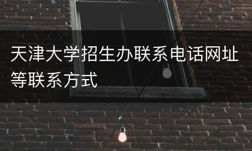 天津大学招生办联系电话网址等联系方式