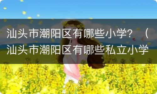 汕头市潮阳区有哪些小学？（汕头市潮阳区有哪些私立小学）