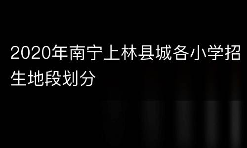 2020年南宁上林县城各小学招生地段划分