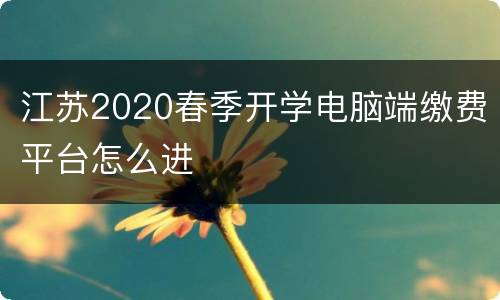 江苏2020春季开学电脑端缴费平台怎么进