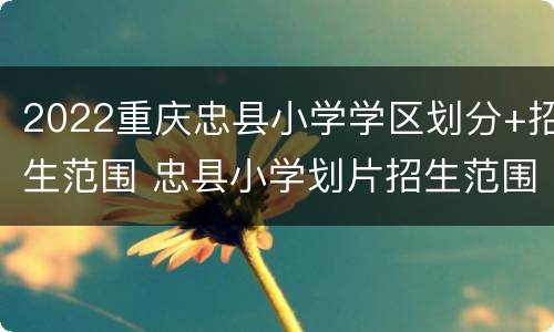 2022重庆忠县小学学区划分+招生范围 忠县小学划片招生范围
