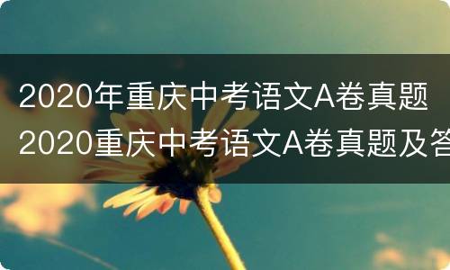 2020年重庆中考语文A卷真题（2020重庆中考语文A卷真题及答案）