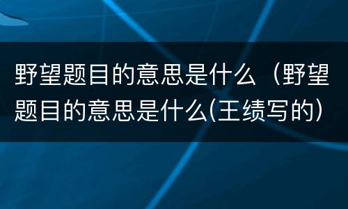 野望题目的意思是什么（野望题目的意思是什么(王绩写的）