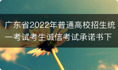 广东省2022年普通高校招生统一考试考生诚信考试承诺书下载入口