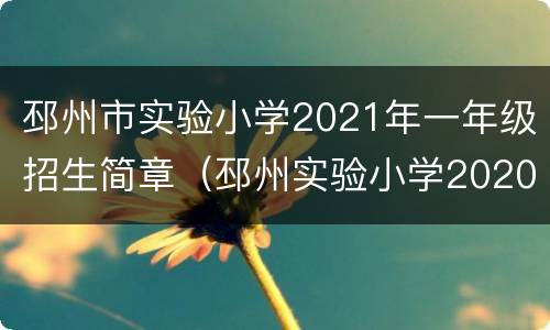 邳州市实验小学2021年一年级招生简章（邳州实验小学2020年招生）