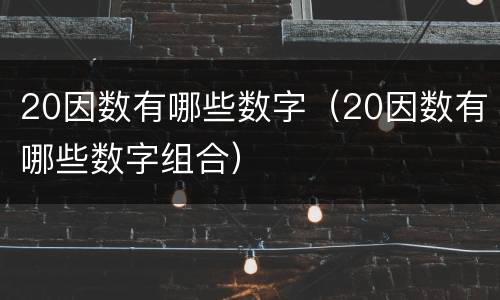 20因数有哪些数字（20因数有哪些数字组合）