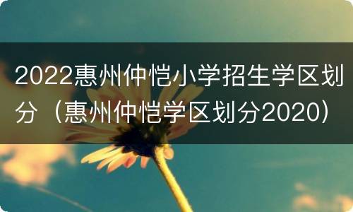 2022惠州仲恺小学招生学区划分（惠州仲恺学区划分2020）