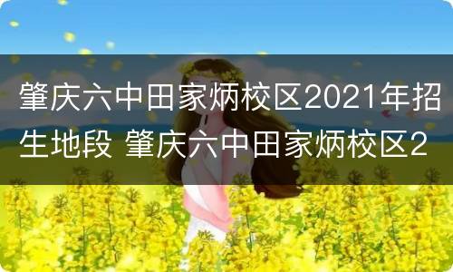 肇庆六中田家炳校区2021年招生地段 肇庆六中田家炳校区2021年招生地段分数