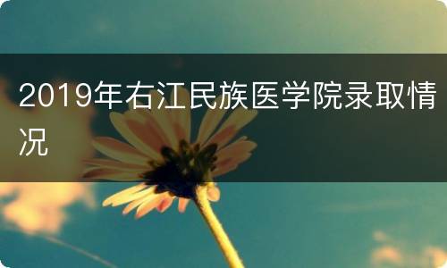 2019年右江民族医学院录取情况