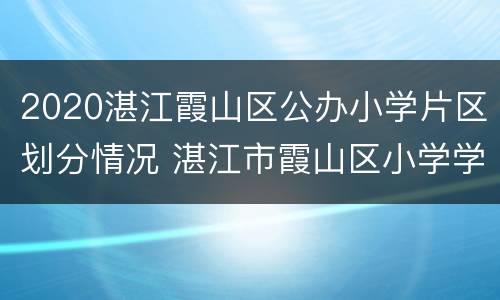 2020湛江霞山区公办小学片区划分情况 湛江市霞山区小学学区划分