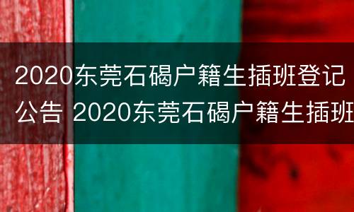 2020东莞石碣户籍生插班登记公告 2020东莞石碣户籍生插班登记公告查询