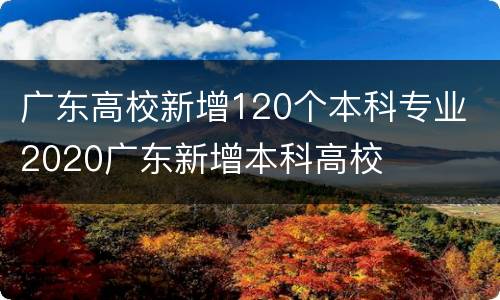 广东高校新增120个本科专业 2020广东新增本科高校