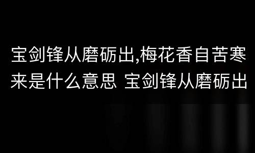 宝剑锋从磨砺出,梅花香自苦寒来是什么意思 宝剑锋从磨砺出,梅花香自苦寒来的意思